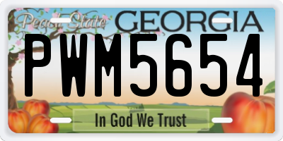 GA license plate PWM5654