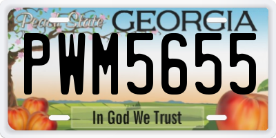 GA license plate PWM5655