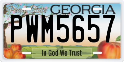 GA license plate PWM5657