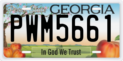 GA license plate PWM5661