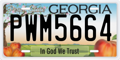 GA license plate PWM5664
