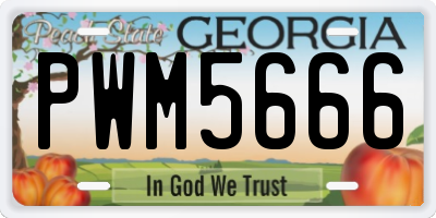 GA license plate PWM5666