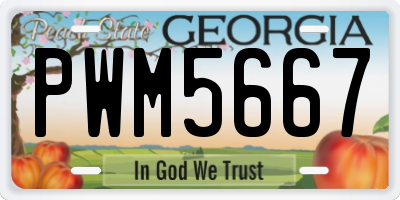GA license plate PWM5667