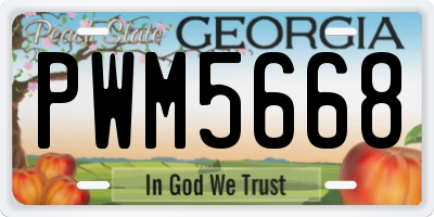 GA license plate PWM5668