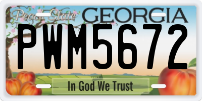 GA license plate PWM5672