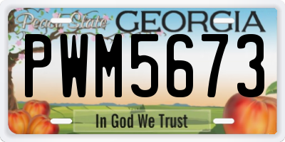 GA license plate PWM5673