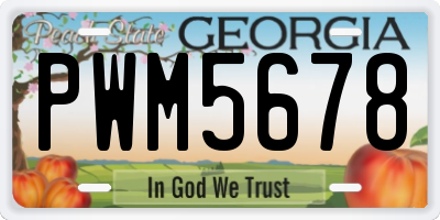 GA license plate PWM5678