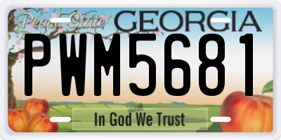 GA license plate PWM5681