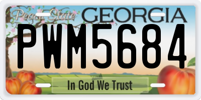 GA license plate PWM5684