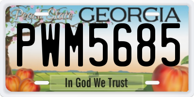 GA license plate PWM5685