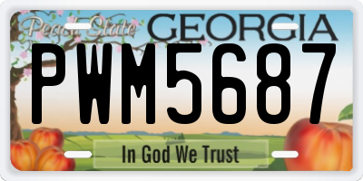 GA license plate PWM5687