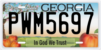 GA license plate PWM5697