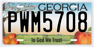 GA license plate PWM5708