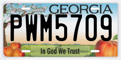 GA license plate PWM5709