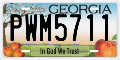 GA license plate PWM5711