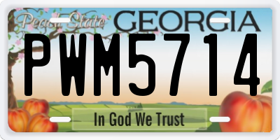 GA license plate PWM5714