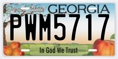 GA license plate PWM5717