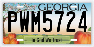 GA license plate PWM5724