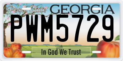 GA license plate PWM5729