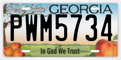 GA license plate PWM5734