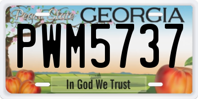 GA license plate PWM5737