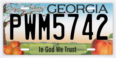 GA license plate PWM5742