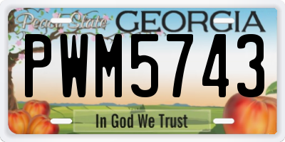 GA license plate PWM5743