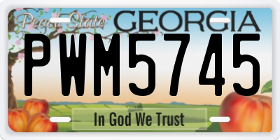 GA license plate PWM5745