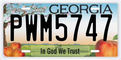 GA license plate PWM5747