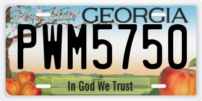 GA license plate PWM5750