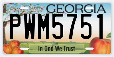 GA license plate PWM5751