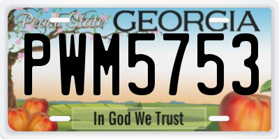 GA license plate PWM5753