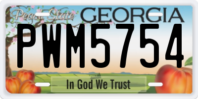 GA license plate PWM5754