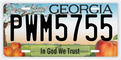 GA license plate PWM5755