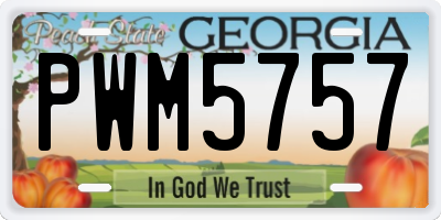 GA license plate PWM5757