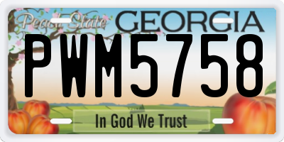 GA license plate PWM5758