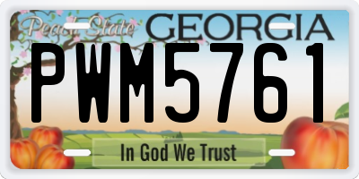 GA license plate PWM5761
