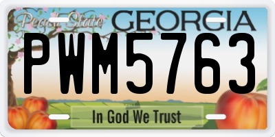 GA license plate PWM5763