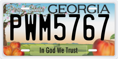 GA license plate PWM5767