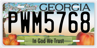 GA license plate PWM5768
