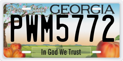 GA license plate PWM5772