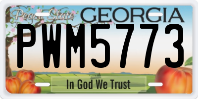 GA license plate PWM5773