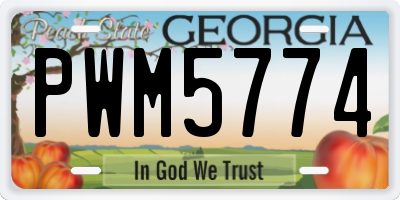 GA license plate PWM5774