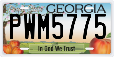 GA license plate PWM5775