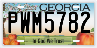 GA license plate PWM5782