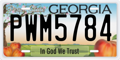 GA license plate PWM5784
