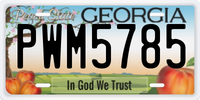 GA license plate PWM5785