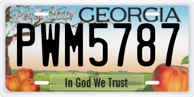 GA license plate PWM5787