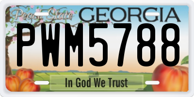 GA license plate PWM5788