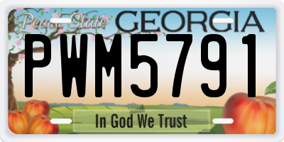 GA license plate PWM5791
